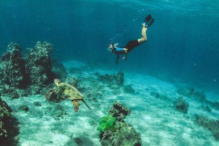 Tips Safety Snorkeling di Lautan Labuan Bajo