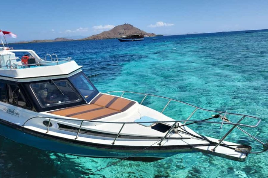 Speed Boat Charter
